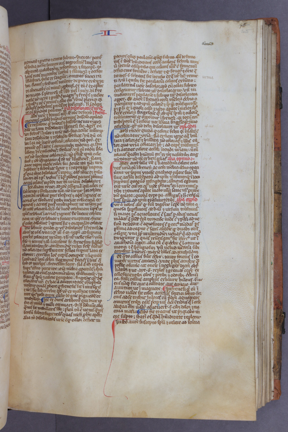 Folio 45 recto